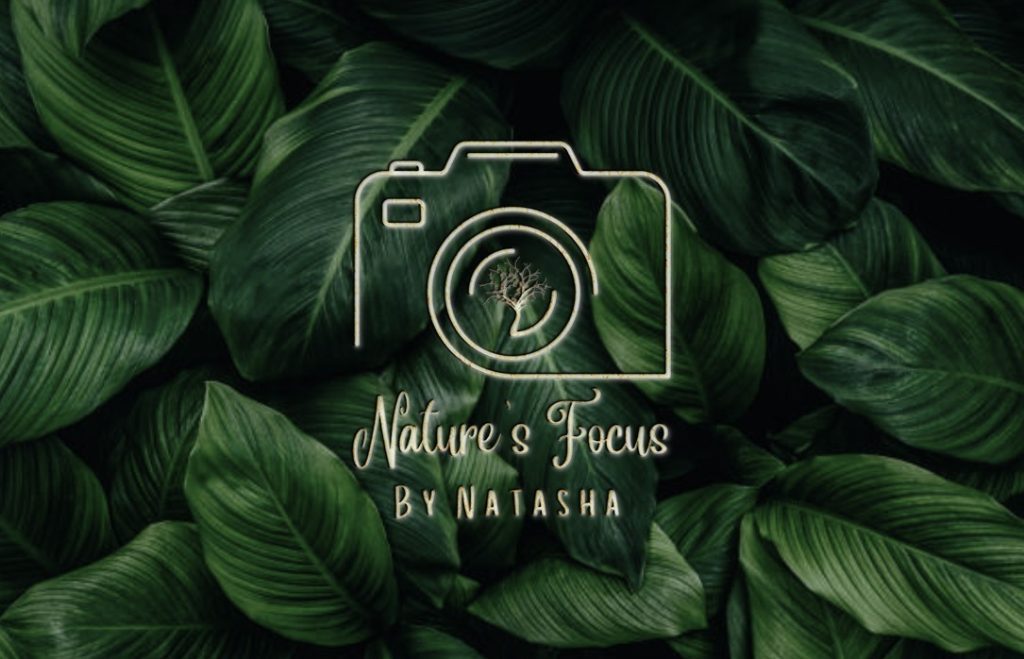 Natures Focus By Natasha